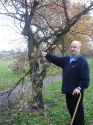 Tree Damage